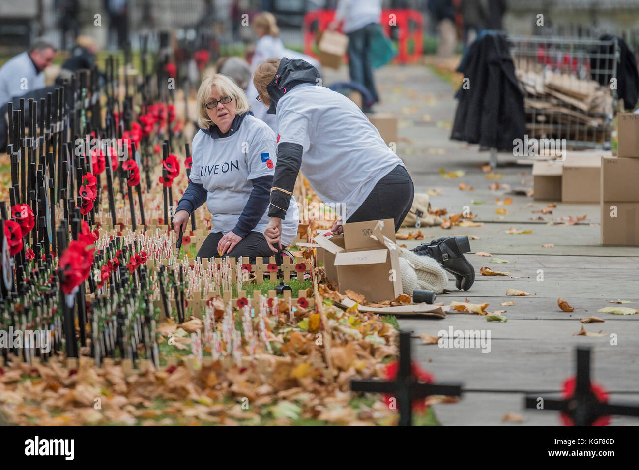 Westminster Abbey, London, UK. 7th Nov, 2017. Volunteers from the Royal British Legion set out the Field of Remembrance outside Westminster Abbey. The field comprises thousands of poppies on crosses to remember individuals and units. It will be completed in time for a Royal visit on Thursday . London 07 Nov 2017. Credit: Guy Bell/Alamy Live News Stock Photo