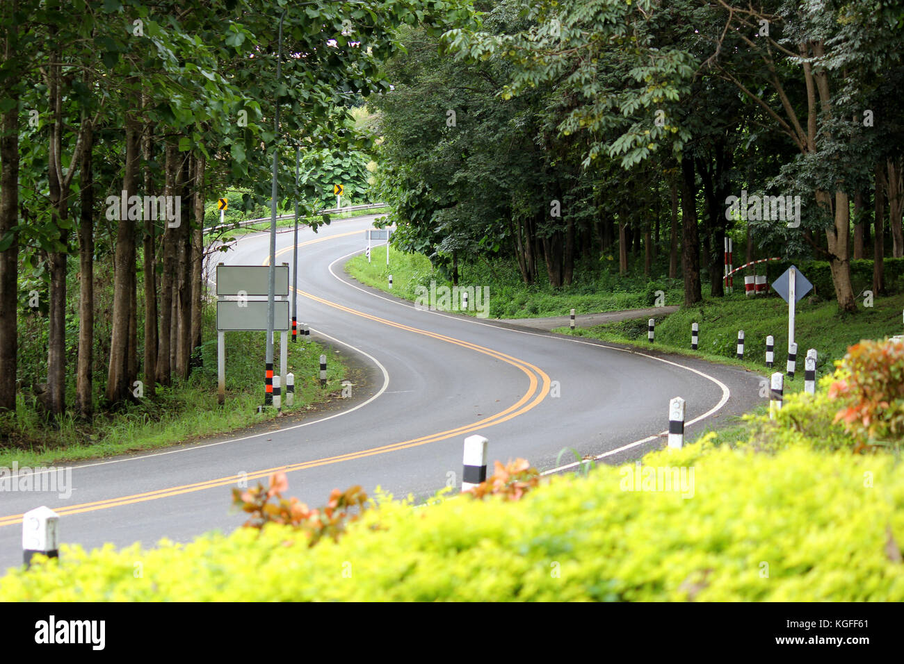 curves road in countryside with tropical green forest Stock Photo