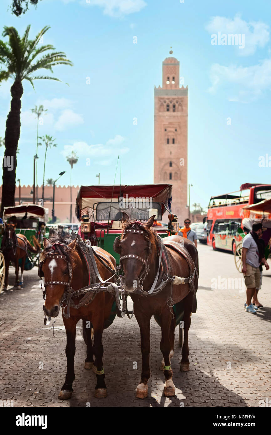 Horse carriage in a Moroccan street. Stock Photo