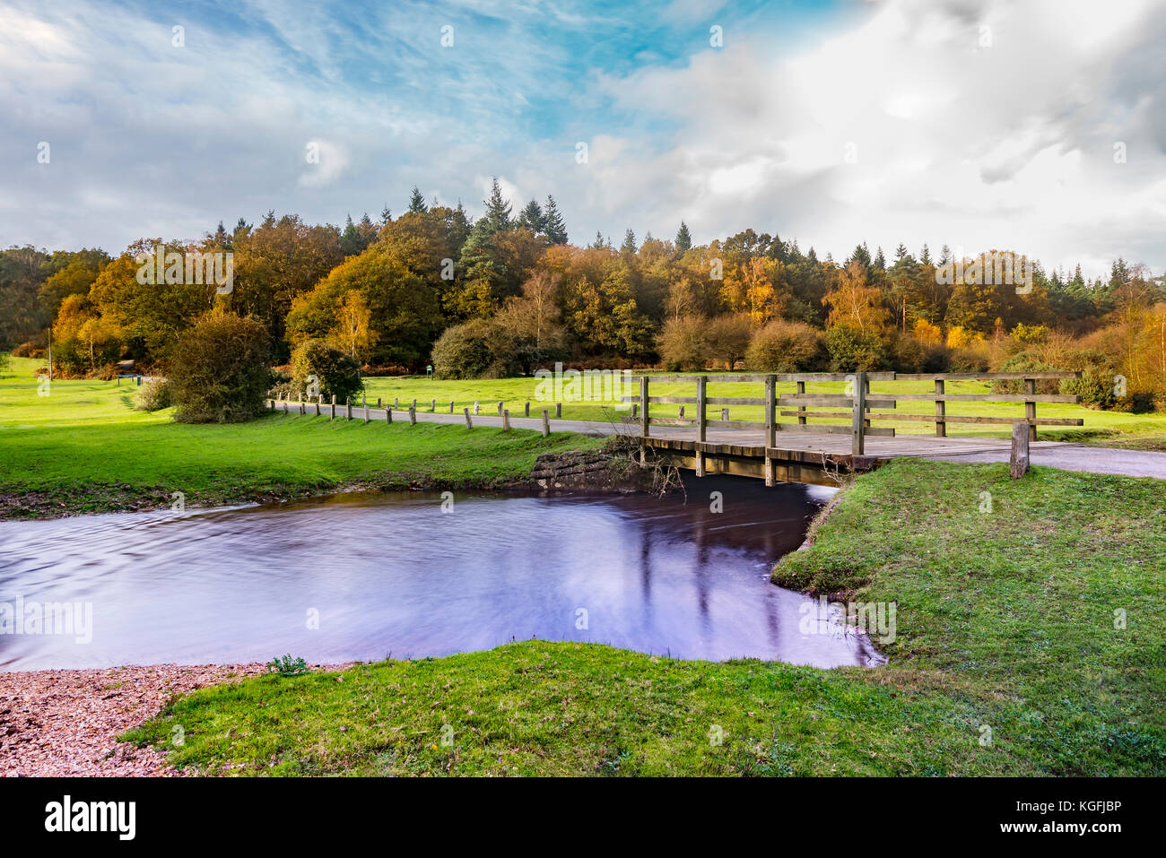 Linford Bottom, New Forest, Hampshire, UK Stock Photo Alamy