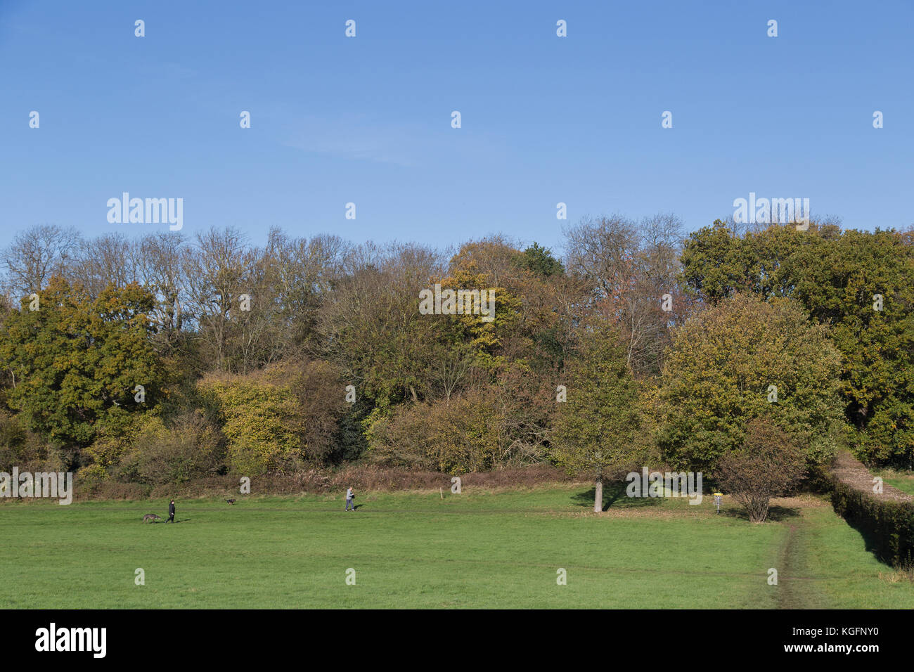 Lloyd Park in Croydon on an autumn morning Stock Photo - Alamy