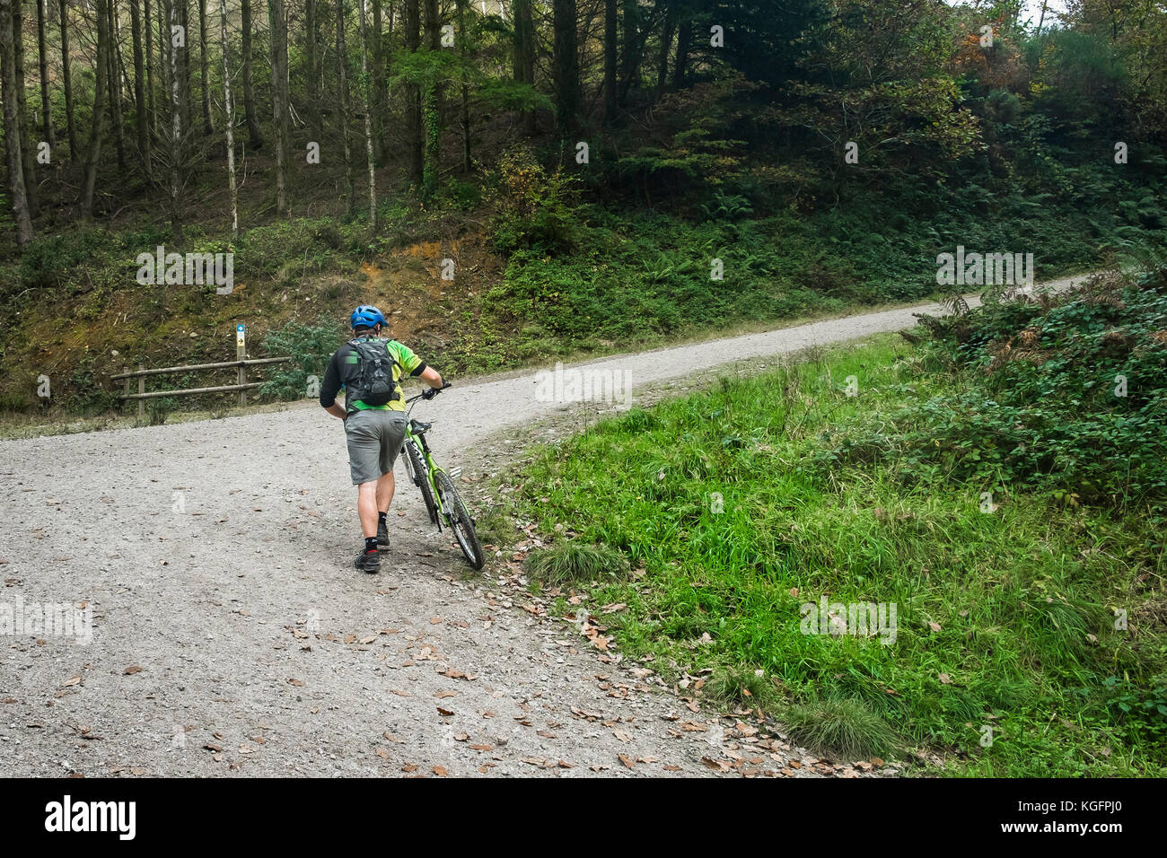 A mountain biker pushing his mountain bike up a steep track in Cardinham Woods in Cornwall. Stock Photo