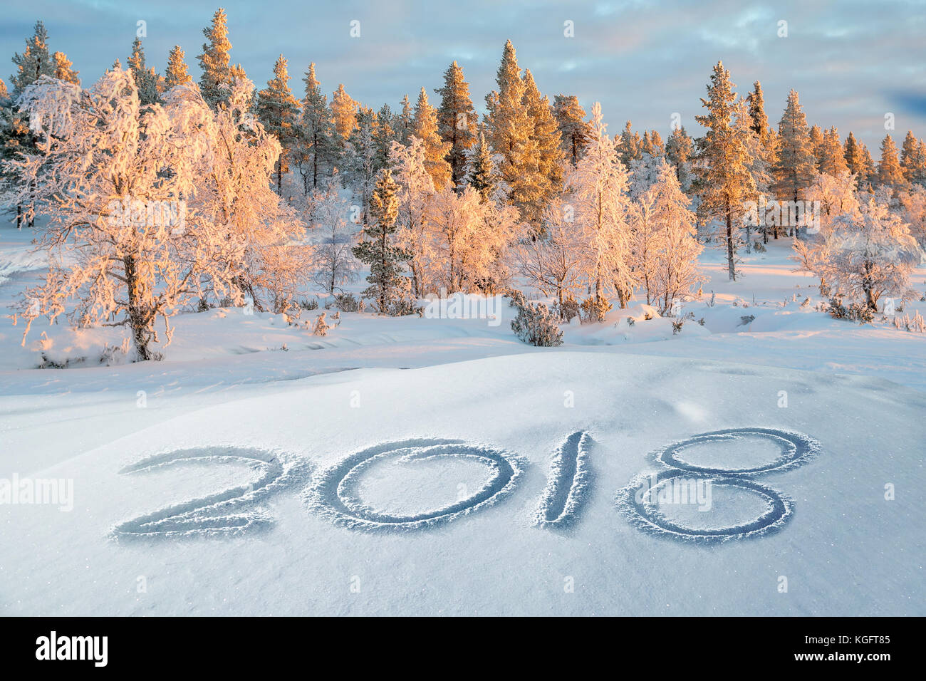 2018 written in the snow, snowy trees landscape in the background Stock Photo