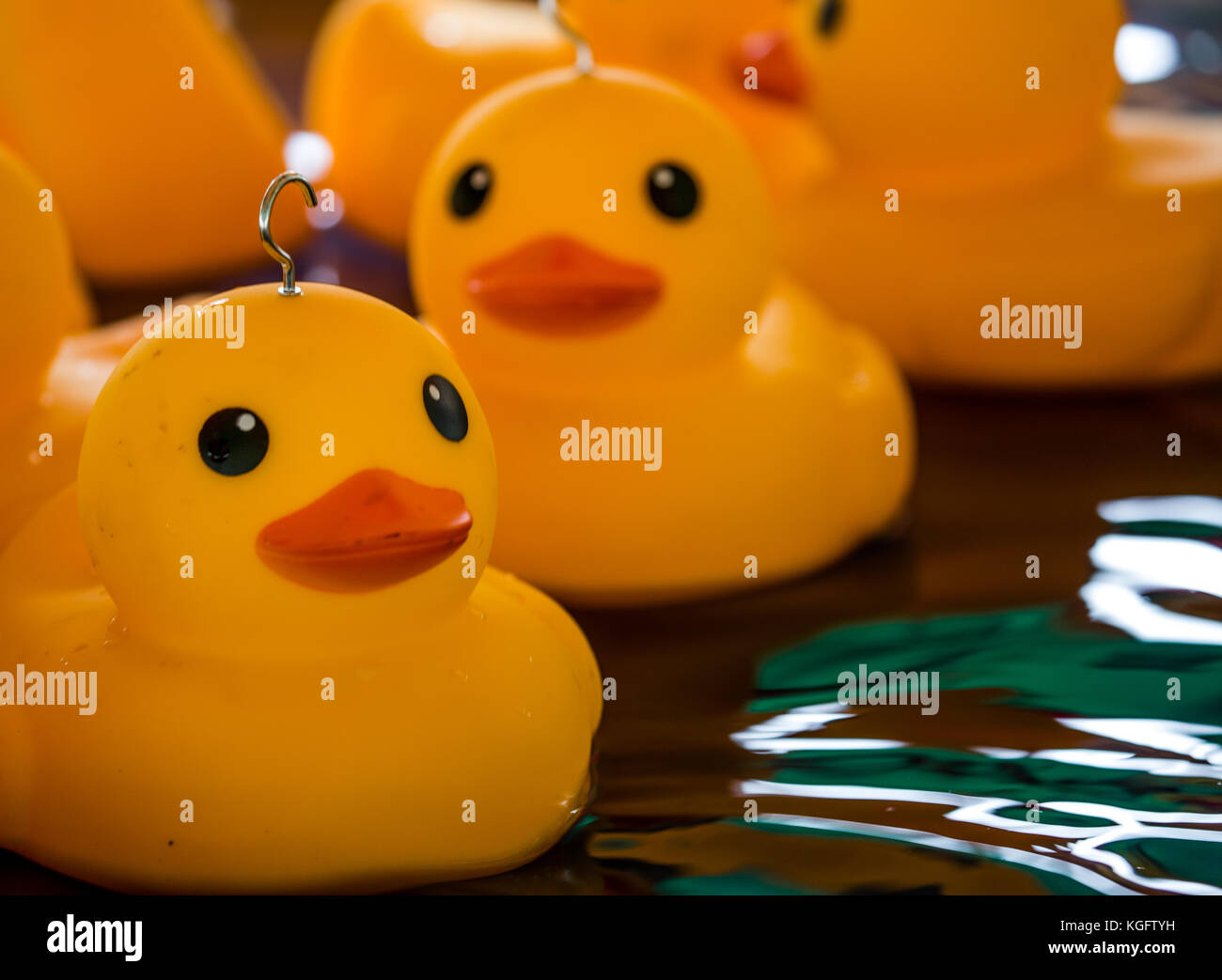 Plastic ducks from a childrens 'Hook A Duck' game at Kirtlington Feast