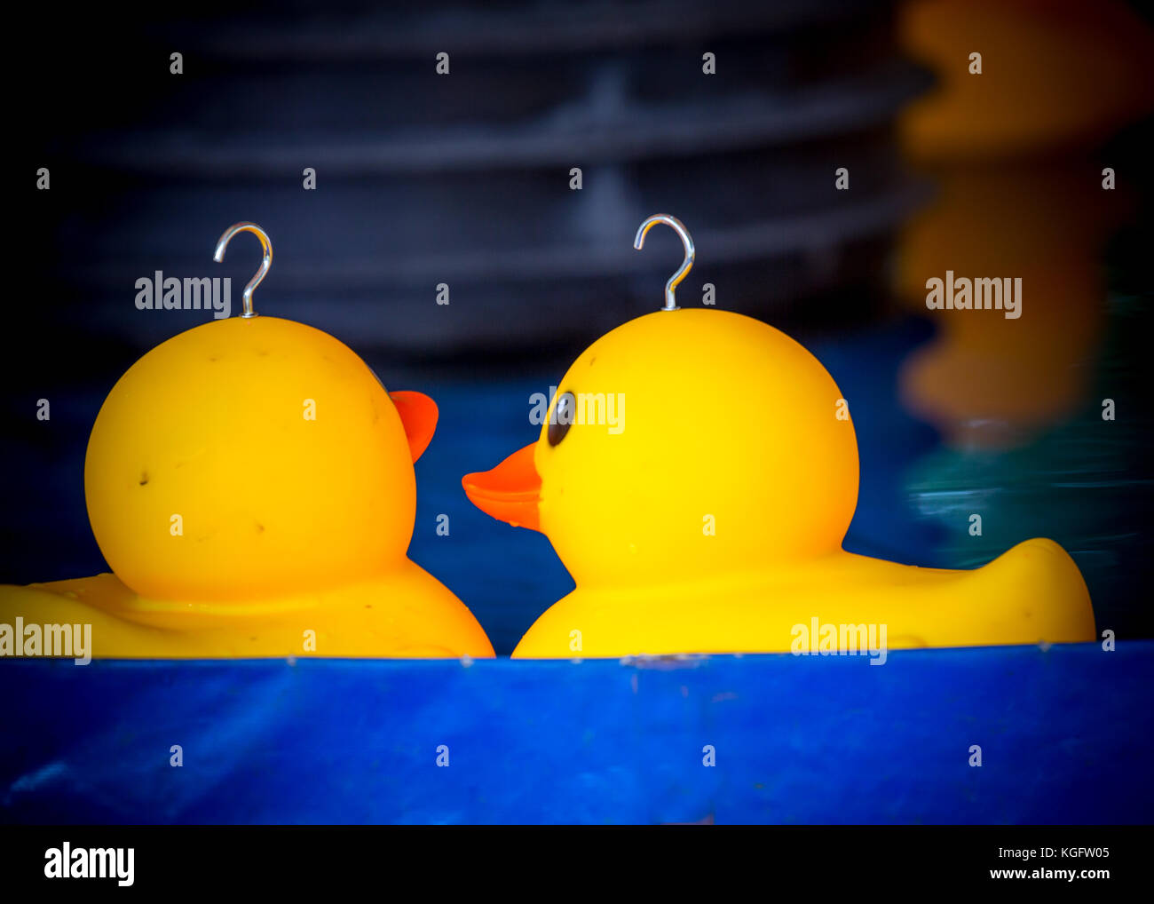 Plastic ducks from a childrens hook a duck game at kirtlington feast