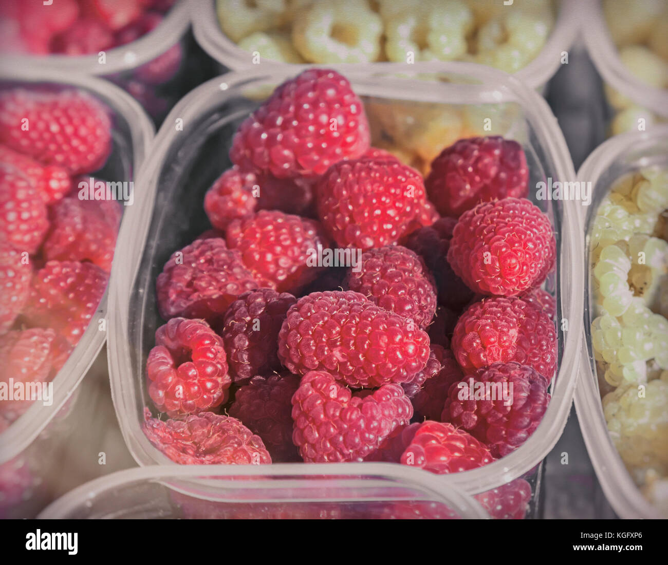 Raspberries growing in containers hi-res stock photography and images ...