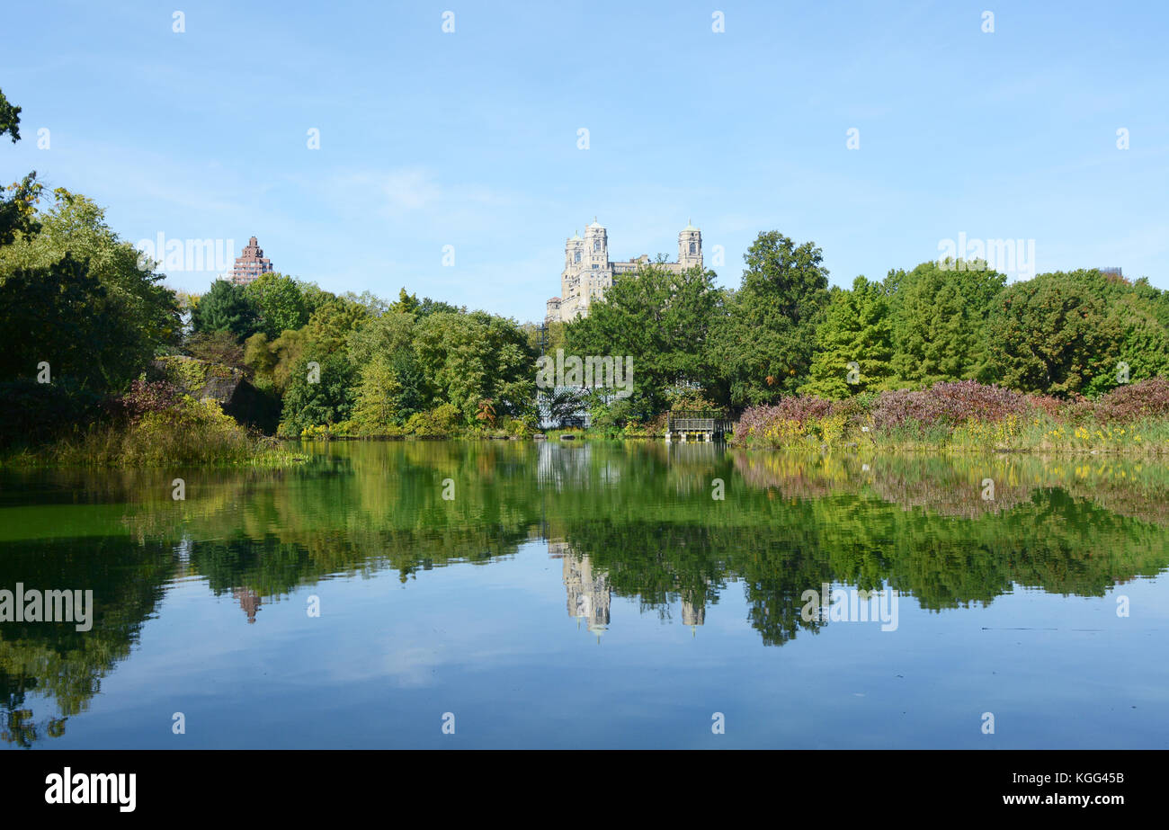 Turtle Pond in Central Park, surrounded by trees and lush marginal plants reflected in the water. The Beresford Hotel is visible above the treetops. Stock Photo