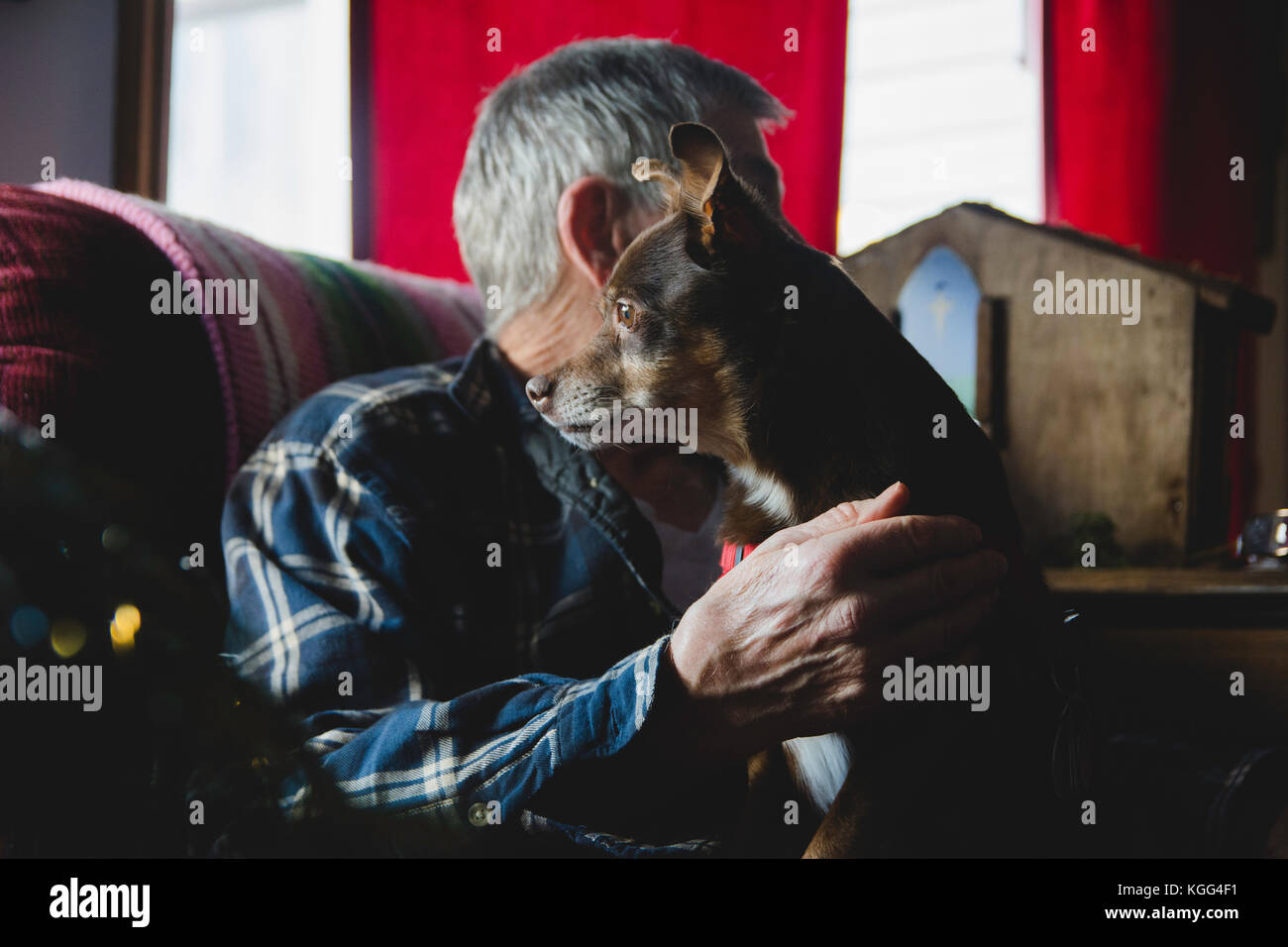 A small dog sits on the lap of an elderly man. Stock Photo