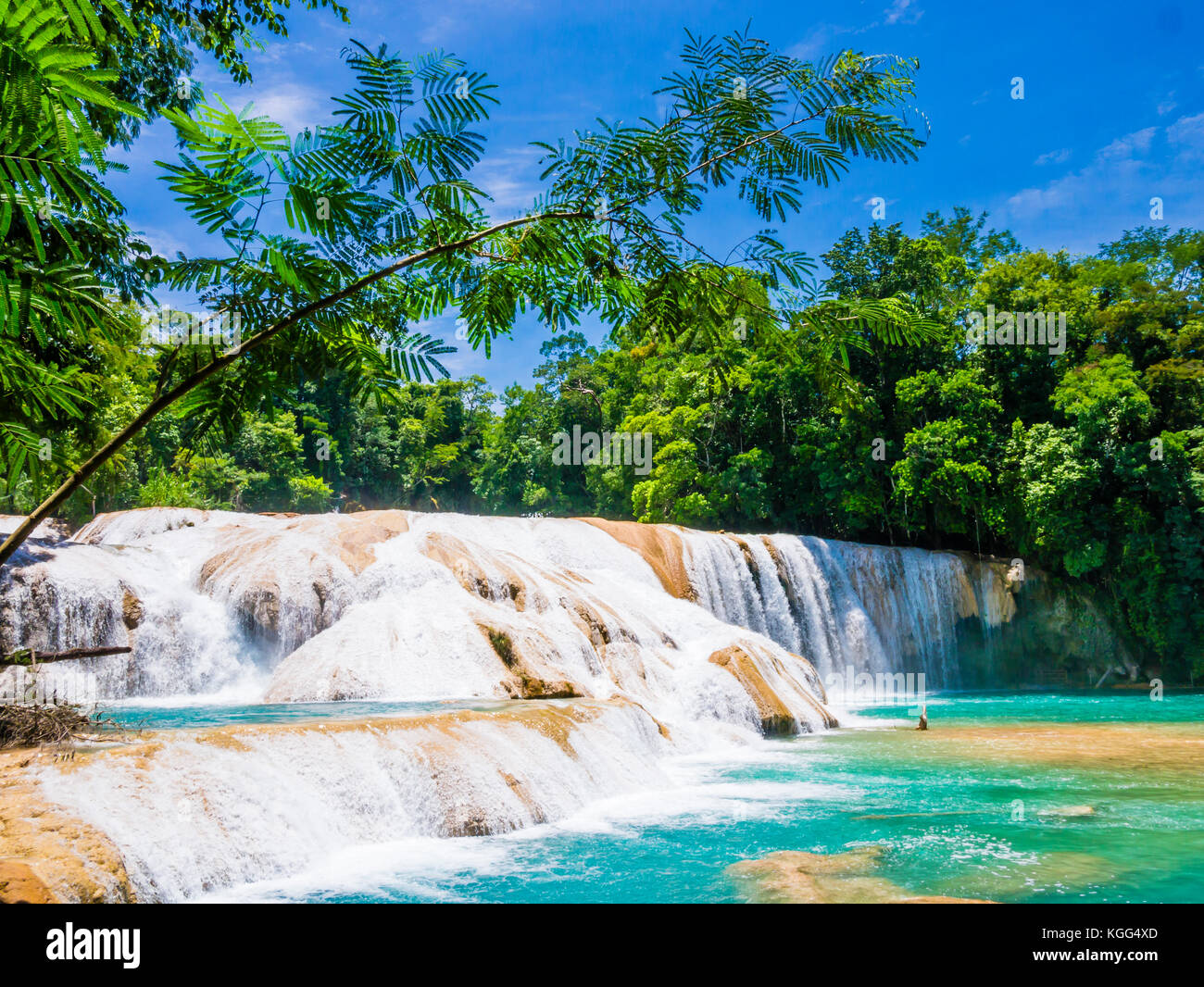 Agua Azul waterfalls in the lush rainforest of Chiapas, Mexico Stock