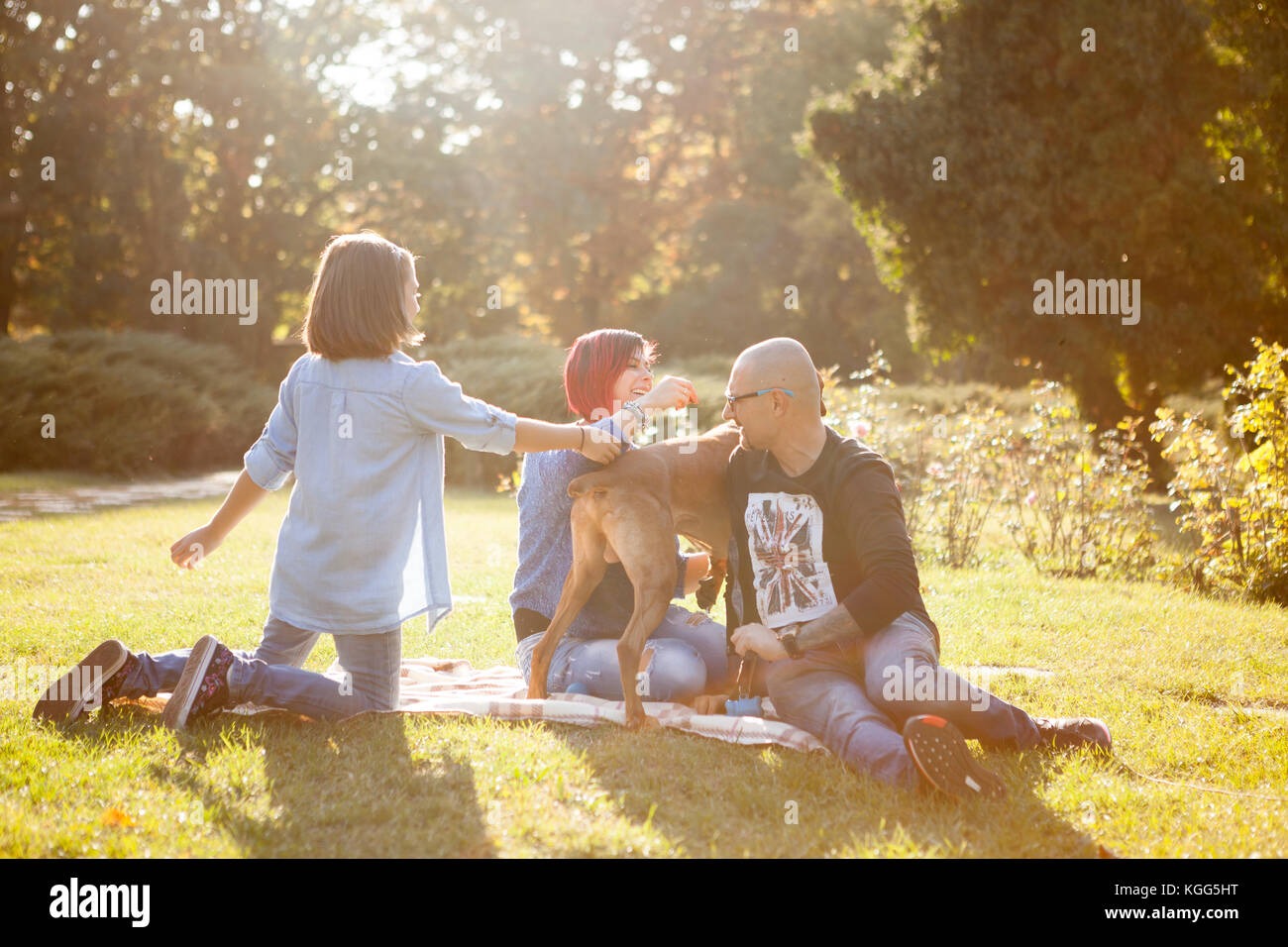 Playing in the park with their dog Stock Photo - Alamy