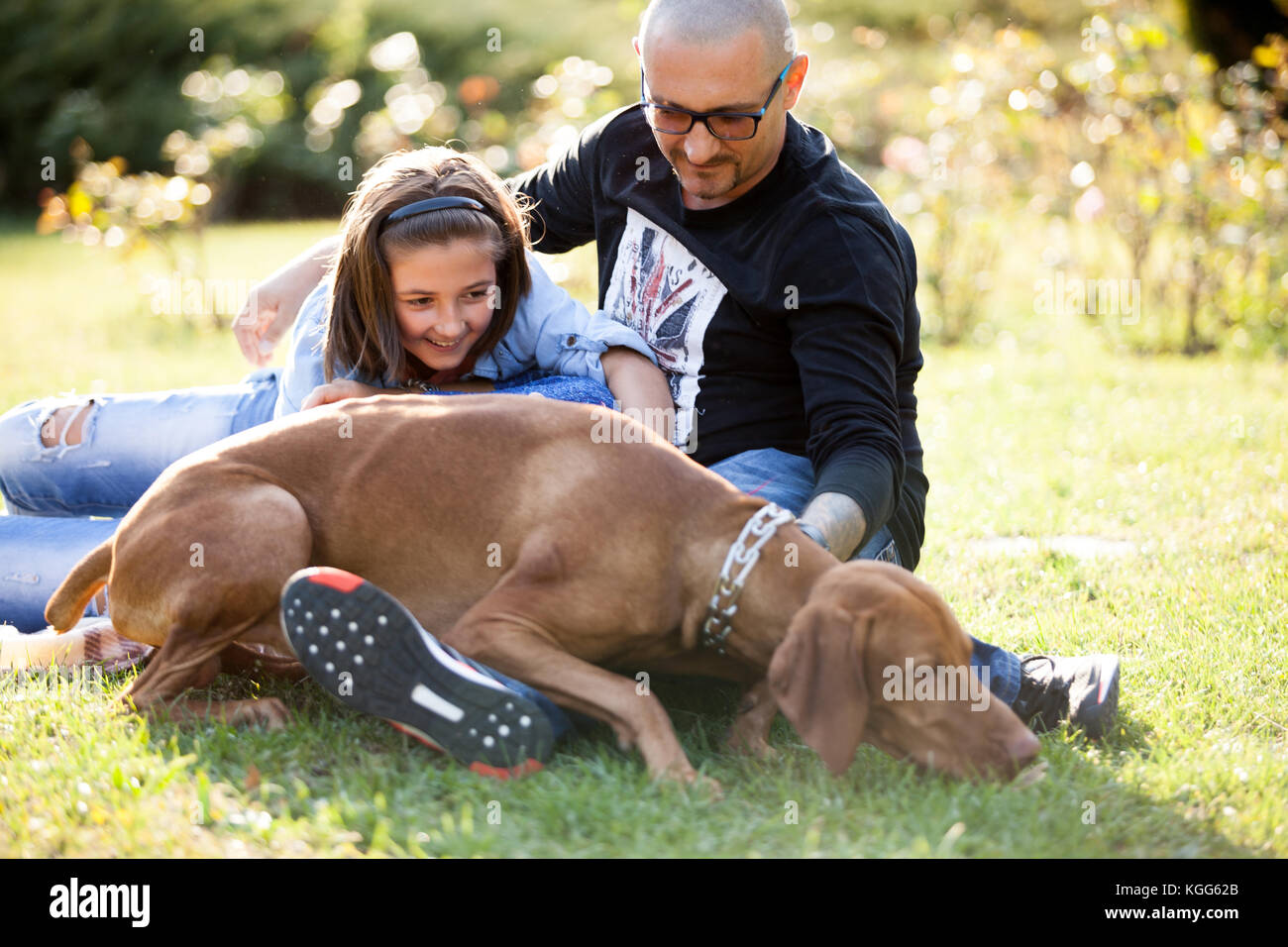 Playing with a dog in the park Stock Photo - Alamy