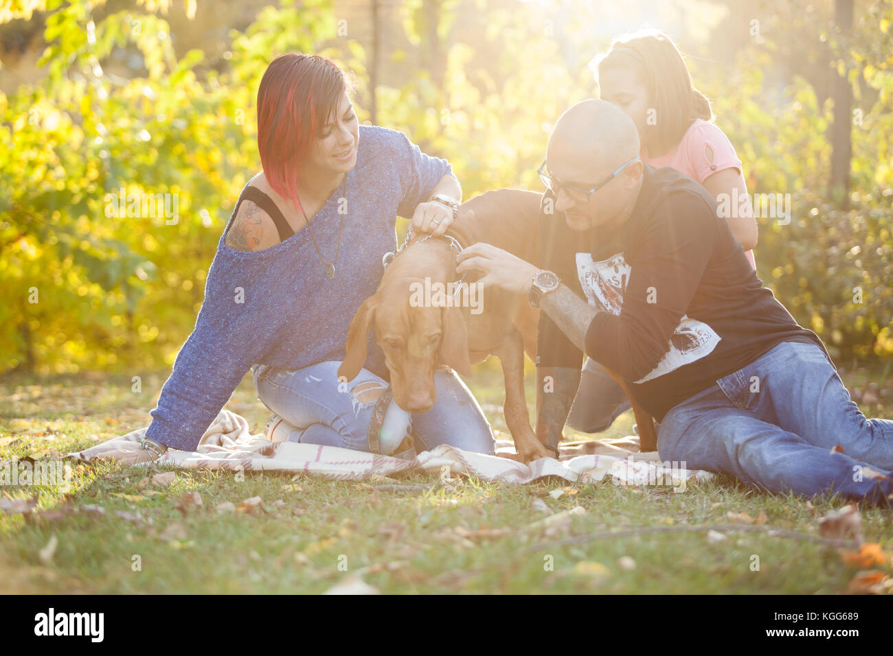 Family playing with their dog in the park Stock Photo - Alamy