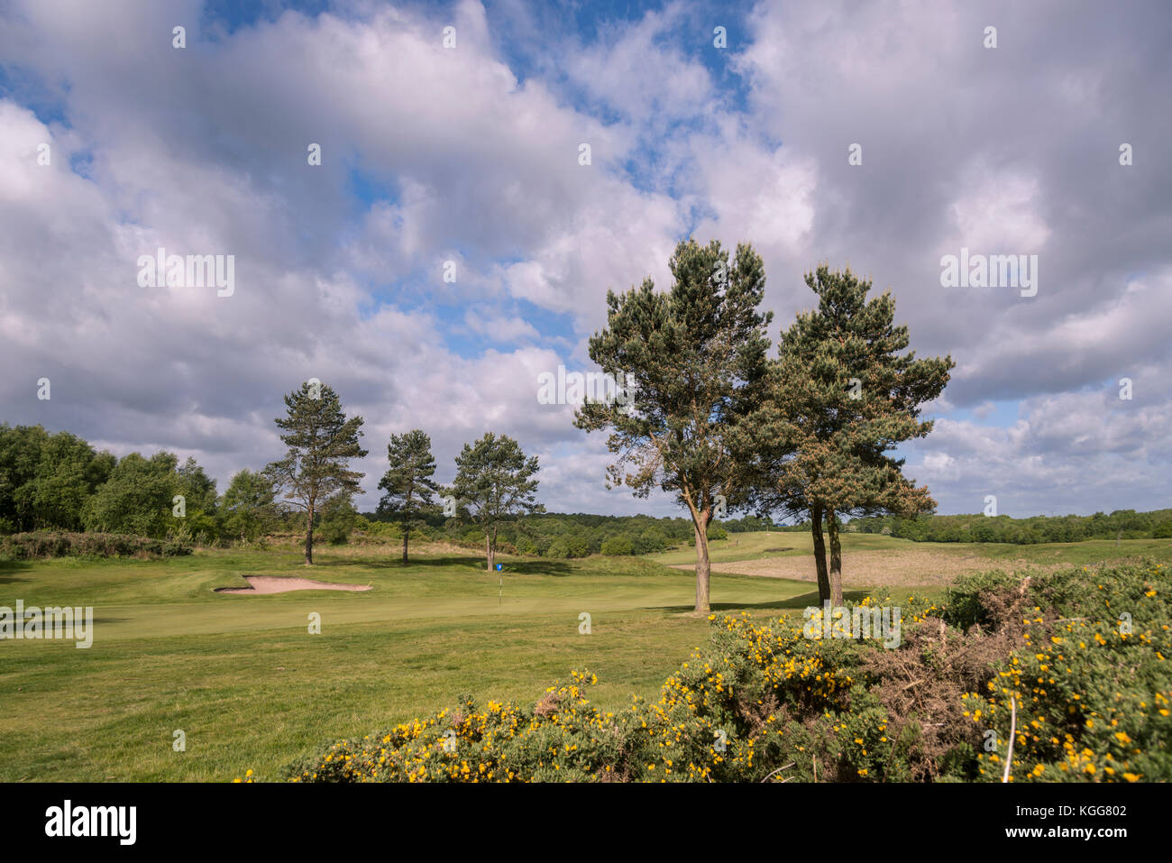 The sixteenth green at Manchester Golf Club, England UK Stock Photo - Alamy