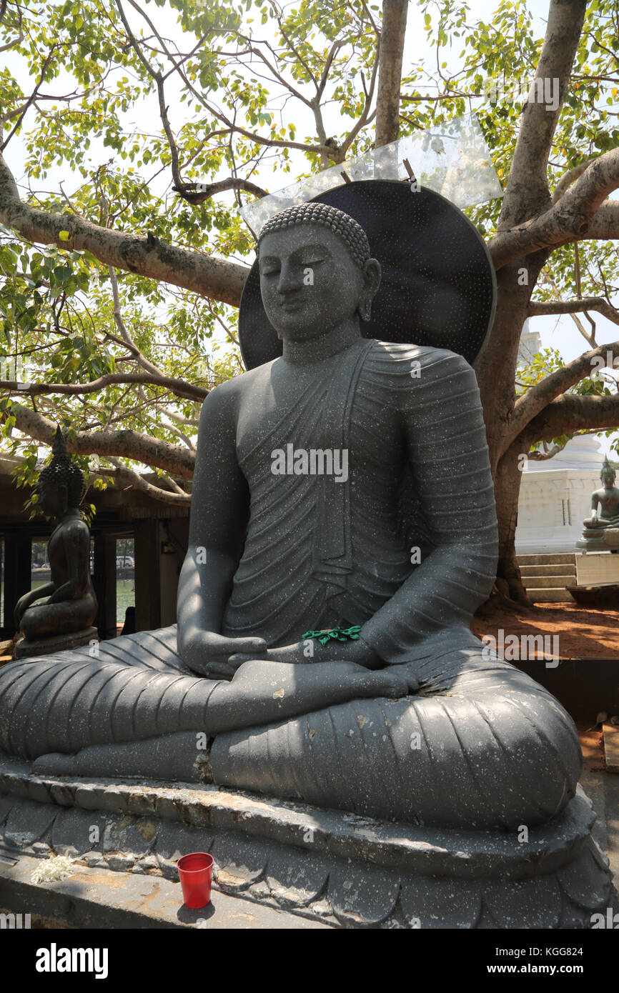 Seema Malaka Temple Colombo Sri Lanka Seated Buddha Statue with Dhyana Mudra and Seated in Ardha Padmasana Position Stock Photo