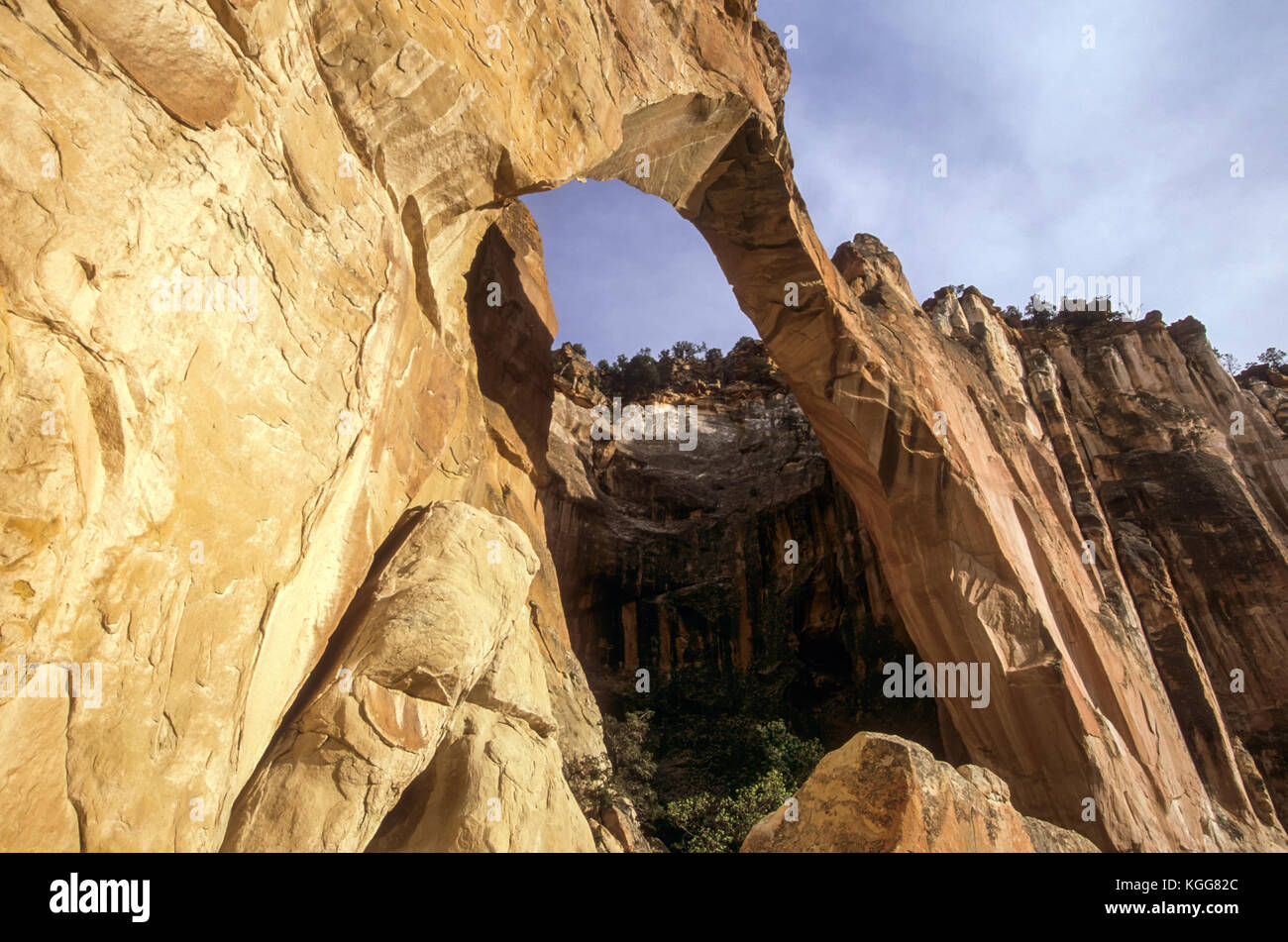 La Ventana Arch, Cebolla Wilderness Area,  El Malpais National Conservation Area, Grants, New Mexico USA Stock Photo