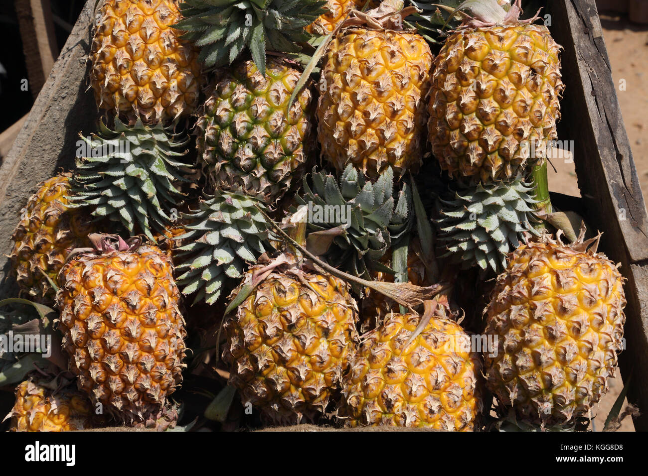 North Western Province Sri Lanka Pineapple Stall Stock Photo Alamy