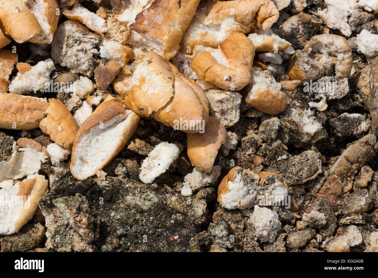 Bread stale dry old thrown on the trash Stock Photo