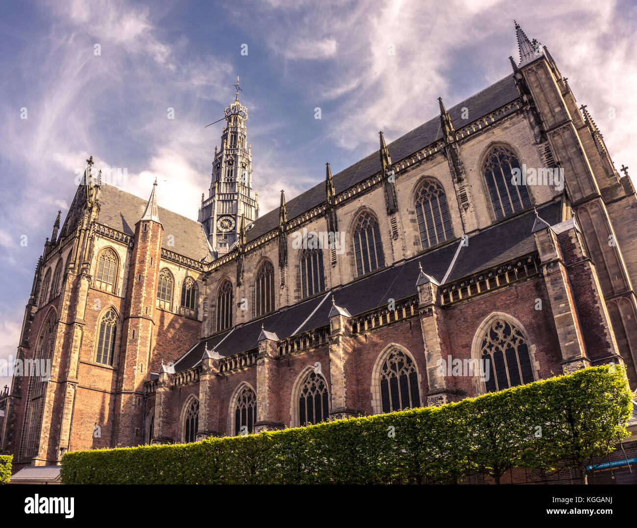 The Grote Kerk (St.-Bavokerk), Protestant church (former Catholic cathedral), central market square, city of Haarlem, Netherlands Stock Photo