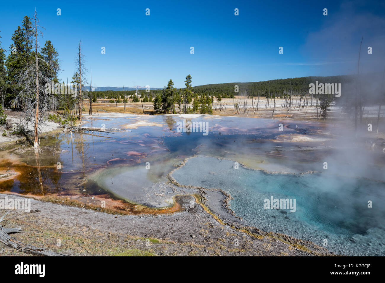 Firehole Spring along Firehole Lake Drive in Yellowstone National Park, Wyoming Stock Photo