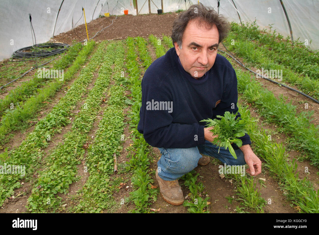 Future farms, village farm at Martin, nr,Fordingbridge with organiser