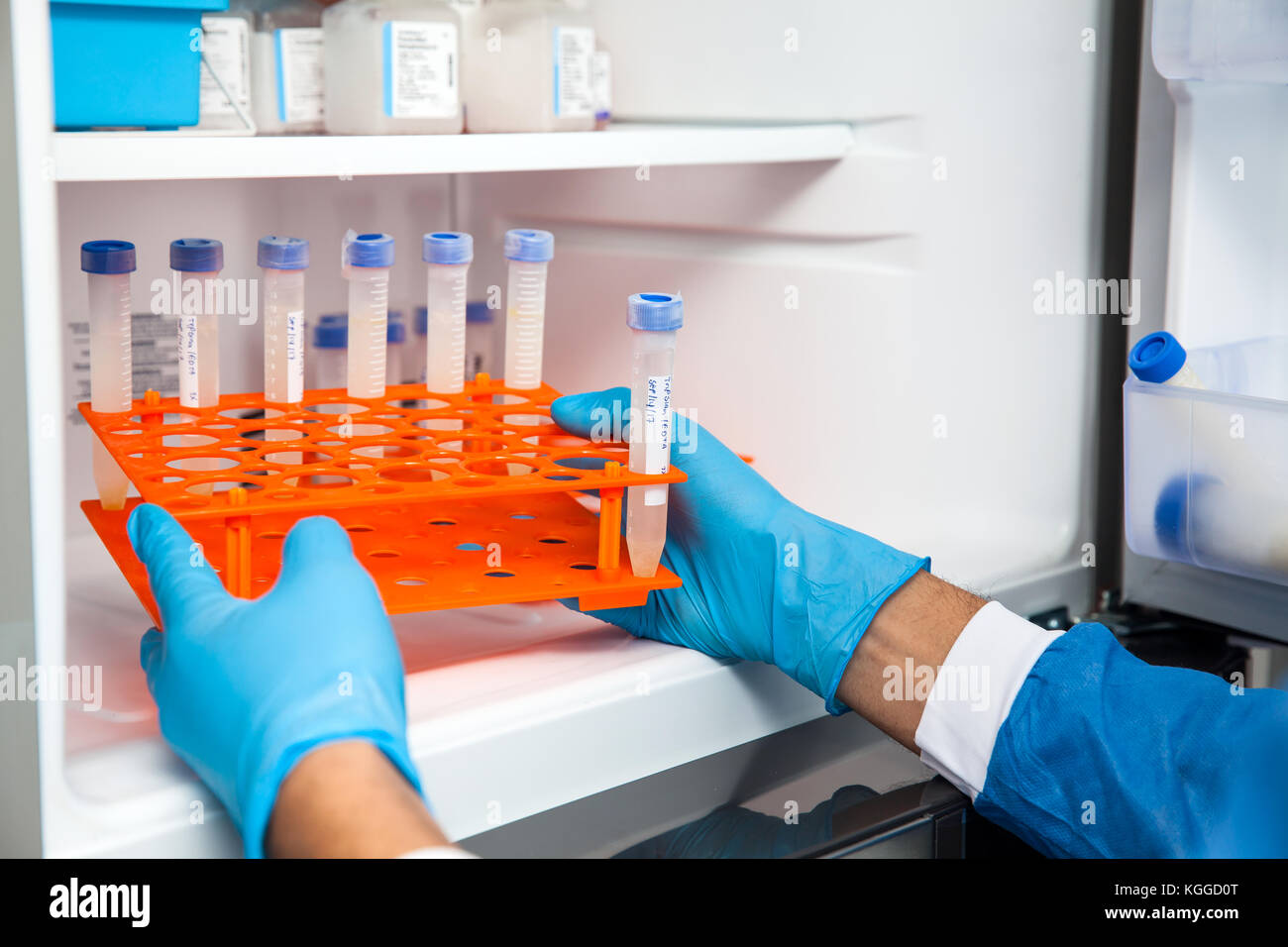Young male scientist and laboratory freezer Stock Photo