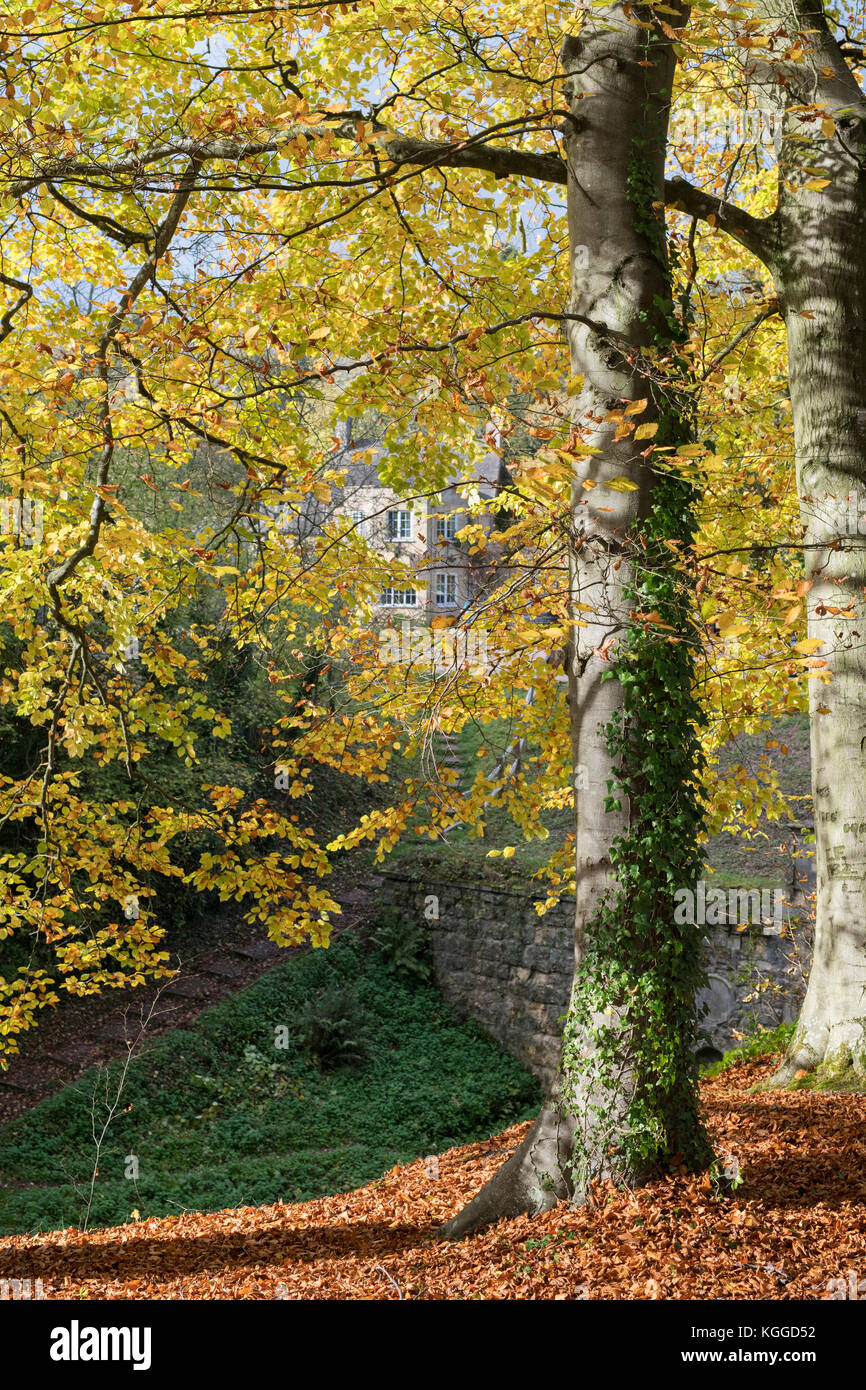 Autumn beech trees along the embankment to the old cotswold Sapperton Canal Tunnel and The Tunnel Inn. Coates, Cirencester, Gloucestershire, UK Stock Photo