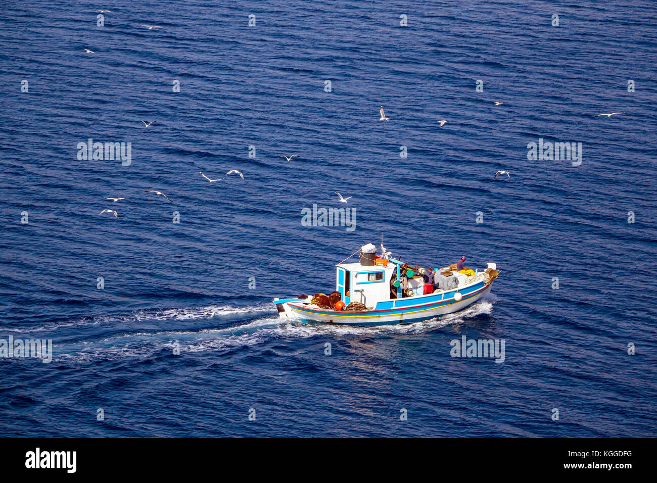 Birds following fishing boat hi-res stock photography and images - Alamy