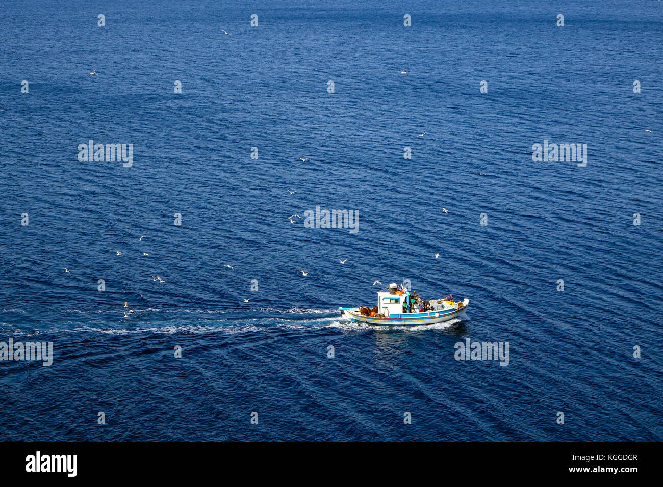 Blue and white fishing boat on blue sea with seagulls, Kalymnos, Greece ...