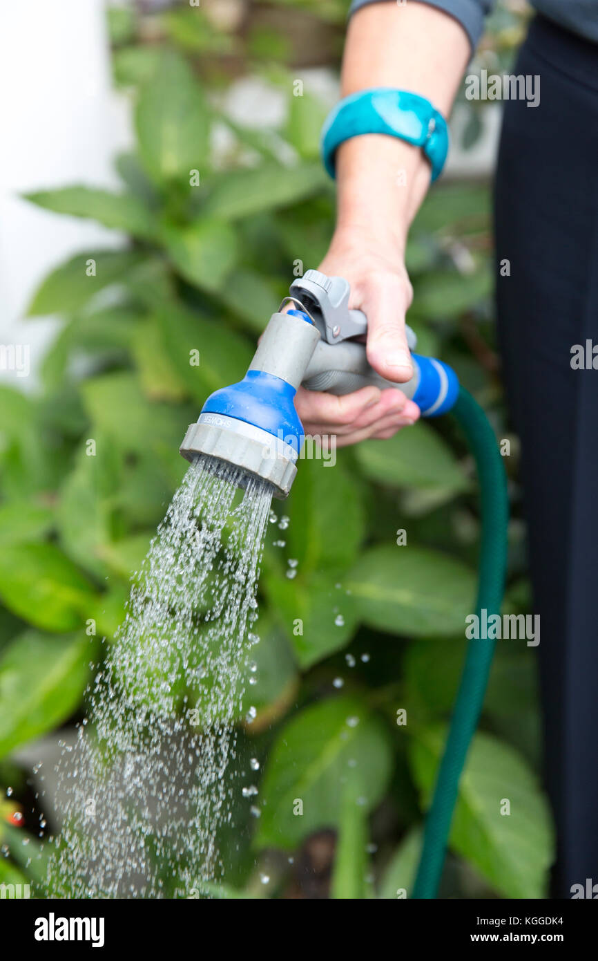 watering garden with hose Stock Photo Alamy