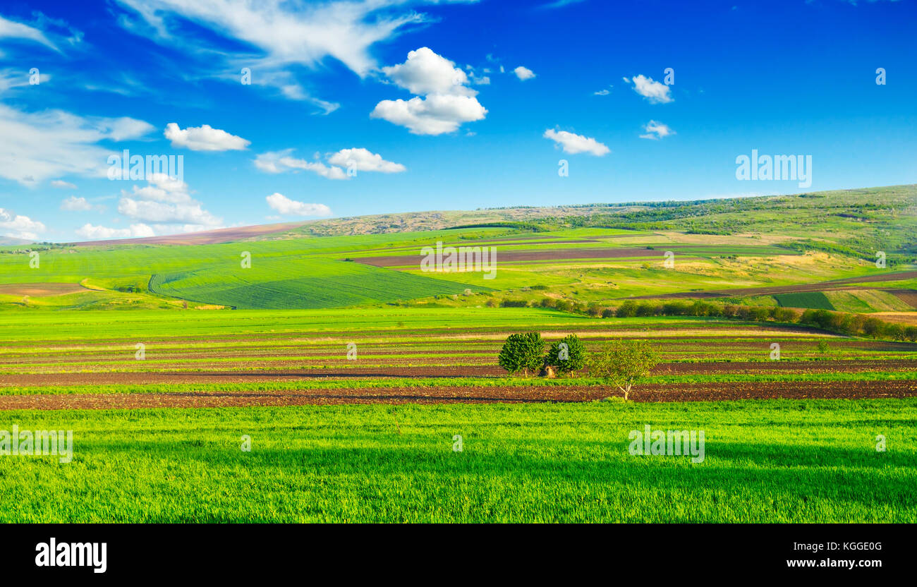 beautiful rural landscape and blue sky Stock Photo
