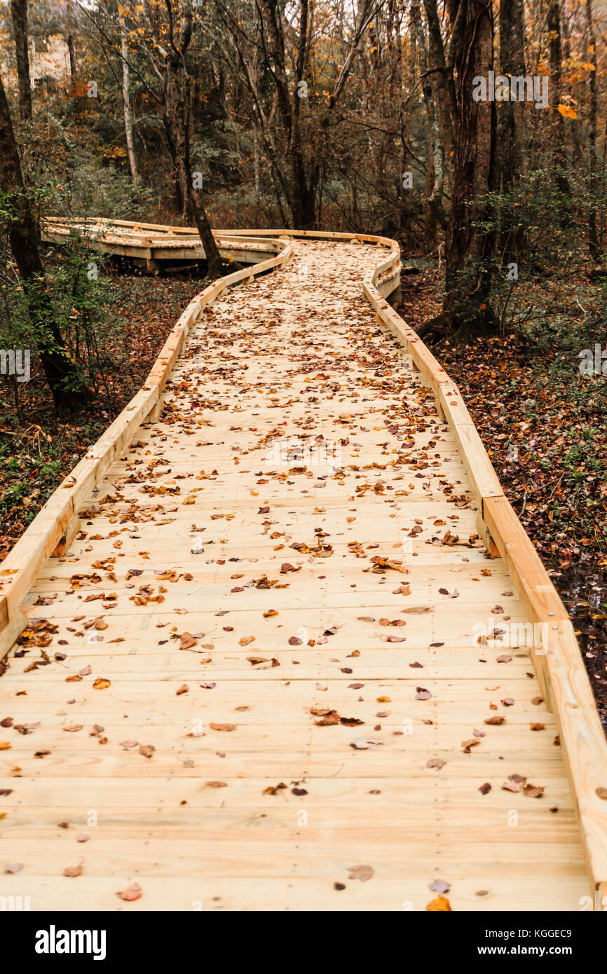 Autumn Leaves on a Wood Walking Trail in the Forest Stock Photo - Alamy