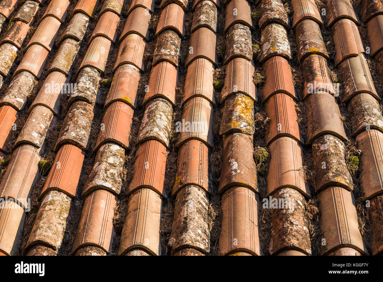 Roof shingles texture Stock Photo