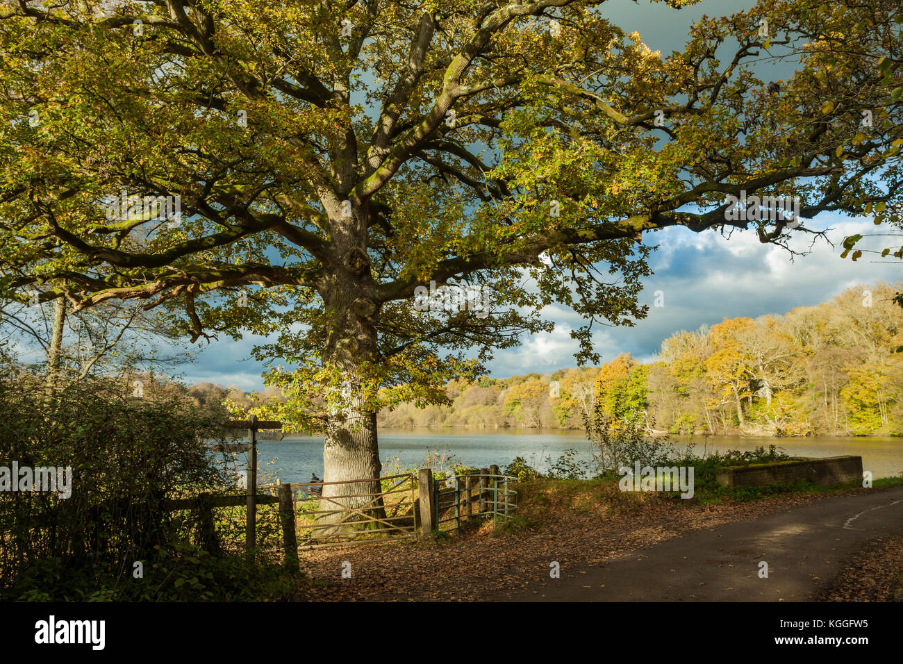 Autumn on the High Weald, West Sussex, England. Stock Photo