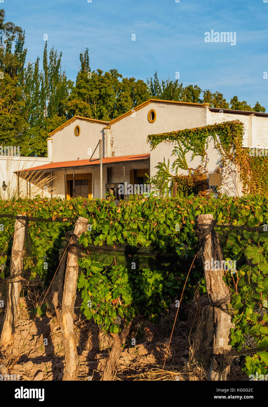 Page 3 Lujan High Resolution Stock Photography And Images Alamy