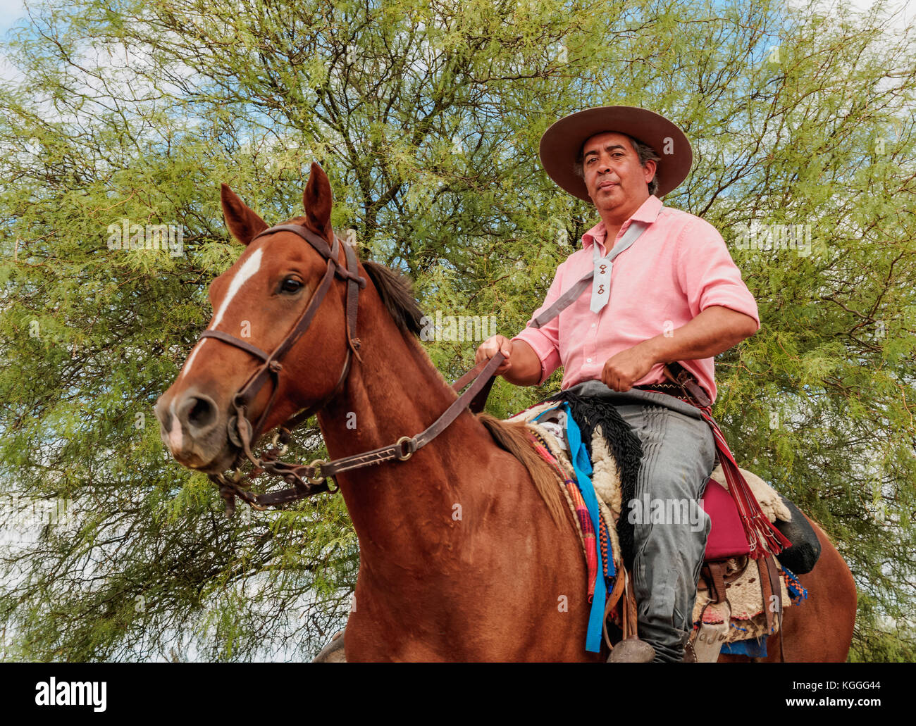 Gaucho on his horse, Vallecito, San Juan Province, Argentina Stock Photo