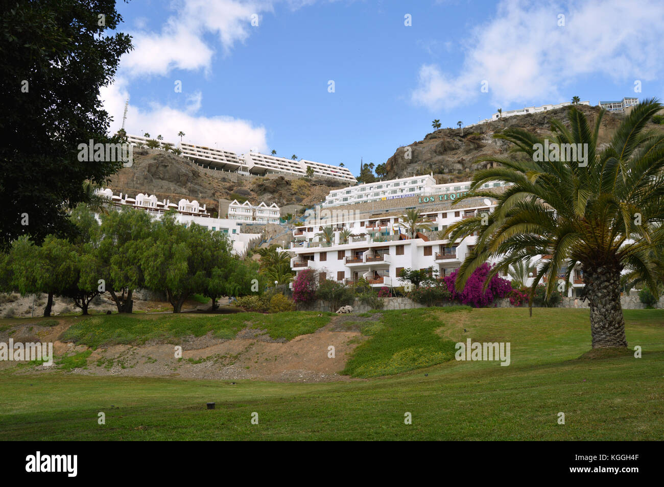 Apartments and hotels adorn a hillside in a park in Puerto Rico Gran