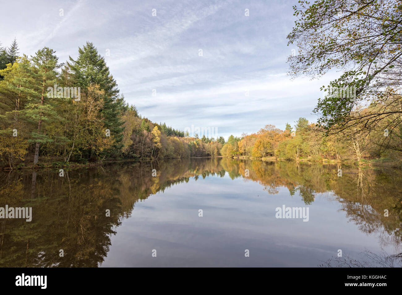Autumn at  Speech House Lake, Forest of Dean, Herefordshire, England, UK Stock Photo