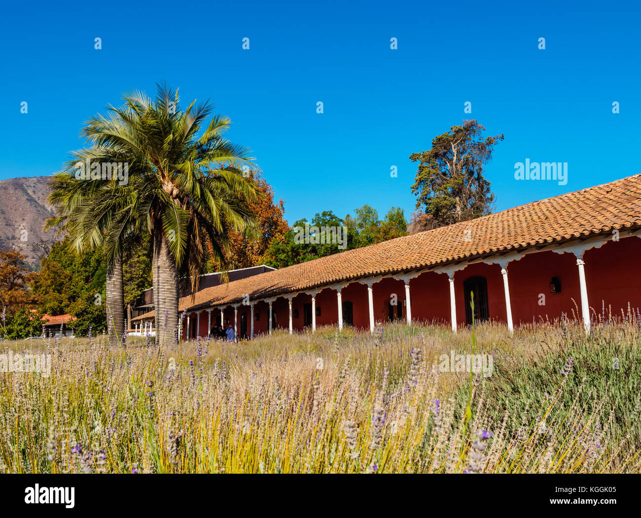 Santa Rita Winery Alto Jahuel Buin Santiago Metropolitan Region Chile Stock Photo Alamy