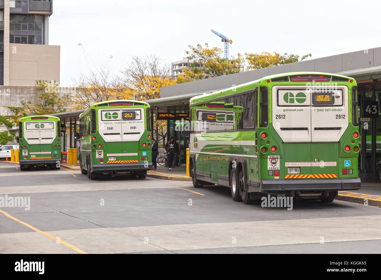 Toronto, Canada - Oct 11, 2017: GO Transit buses at the Union Station coach terminal  in Toronto, Canada Stock Photo