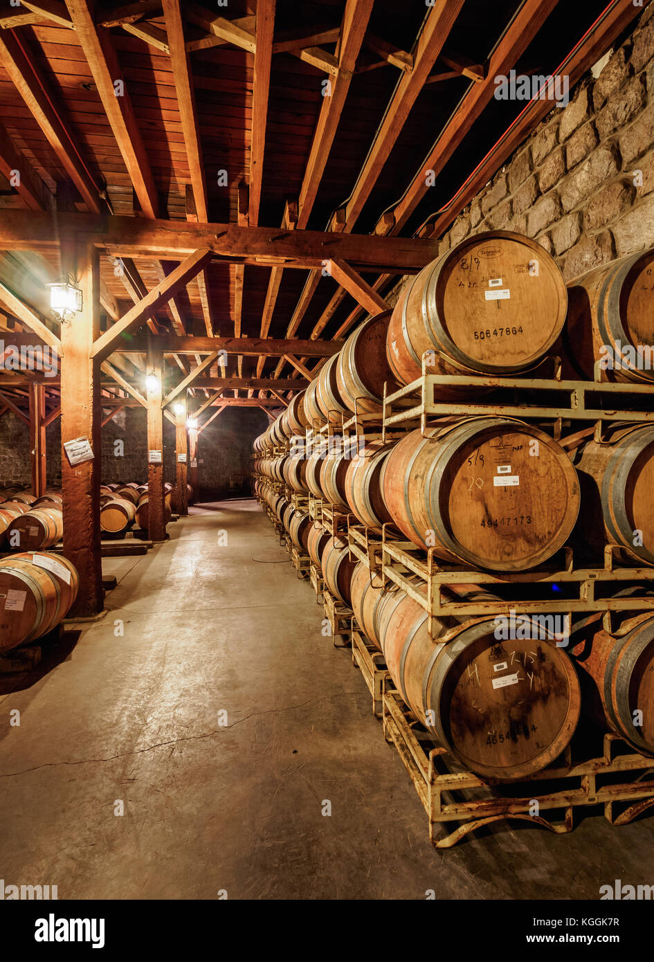 Wine Cellar Santa Rita Winery Alto Jahuel Buin Santiago Metropolitan Region Chile Stock Photo Alamy