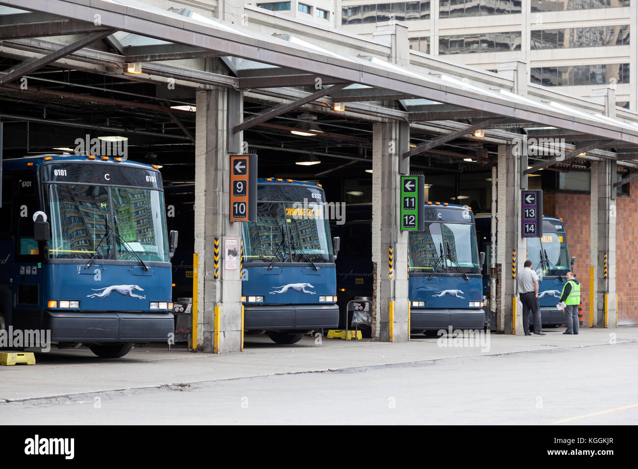 Accommodation search On Greyhound Coupons you find the NEW Greyhound promotion code discounts and TIPS for getting the lowest bus fares possible.