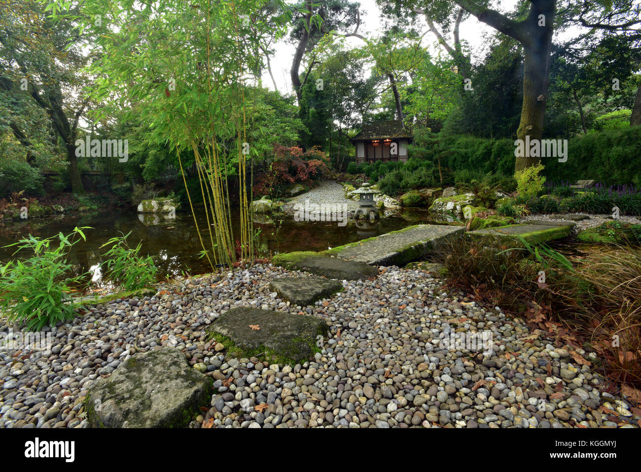 the Japanese garden at Pinetum park near saint Austell in cornwall. Cornish tourist or visitor attractions. Stock Photo