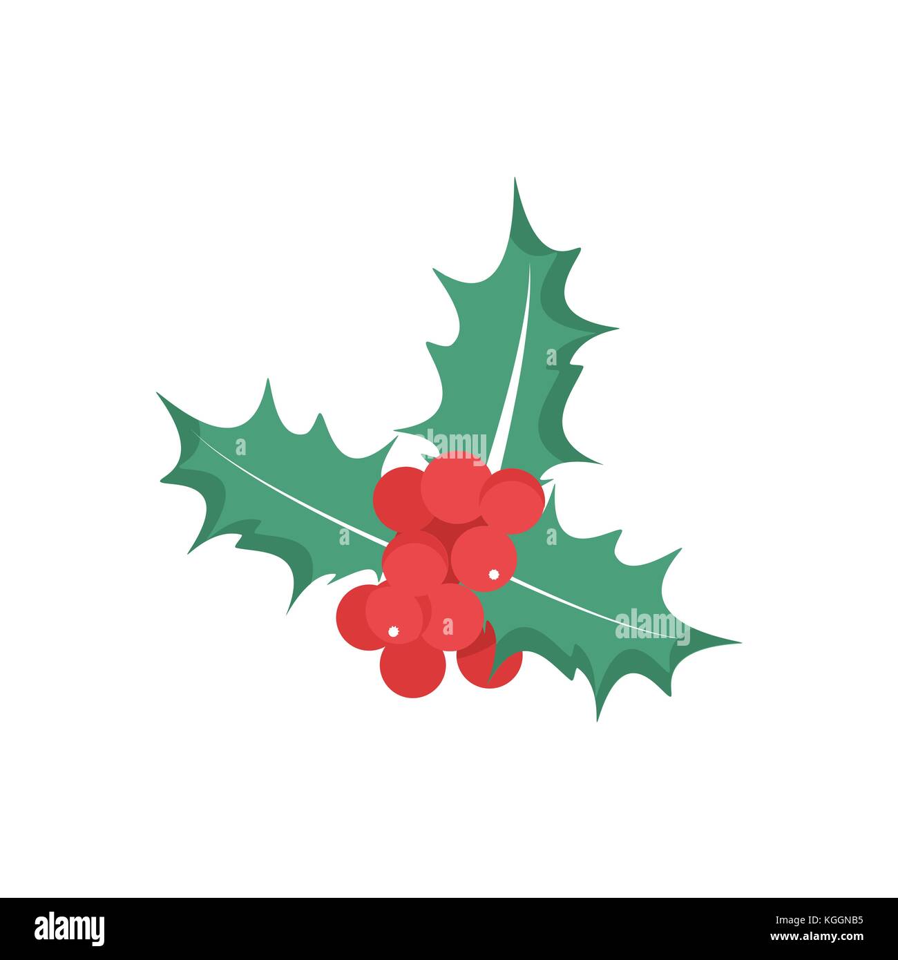 Vector illustration Holly berry leaves Christmas icon Stock Vector ...