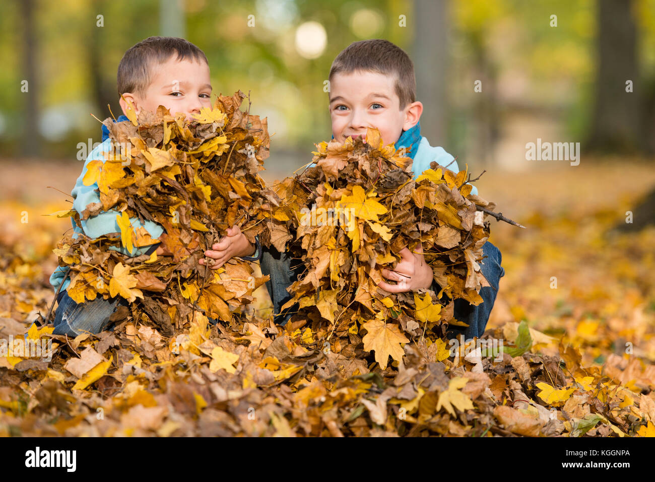 Happy brothers playing with fallen leaves in autumn park Stock Photo ...
