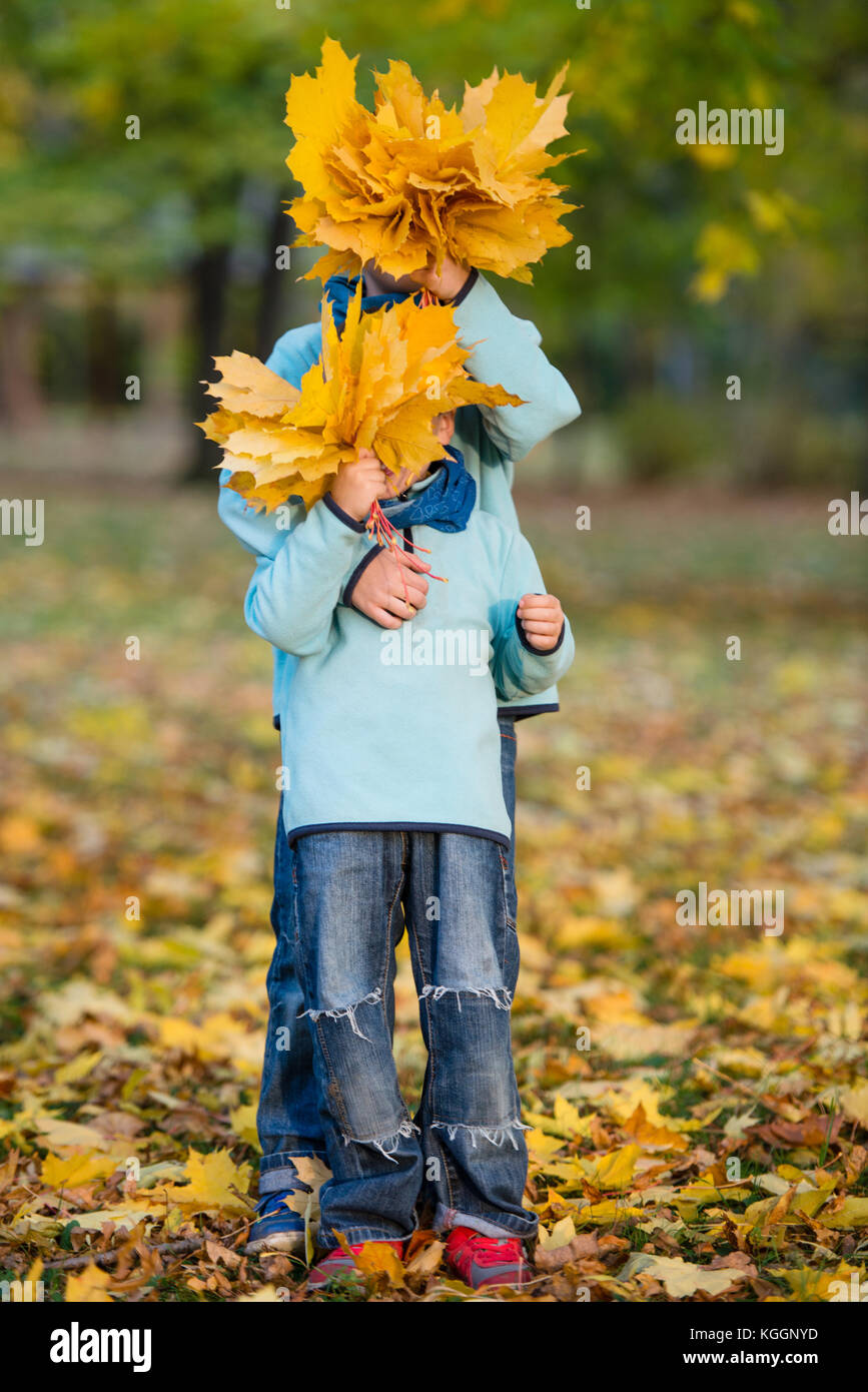 Adorable brothers posing with leaves in autumn park Stock Photo - Alamy