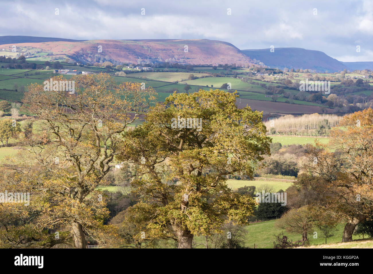 Autumn over Monmouthshire countryside and the distant Black Mountains, Wales, UK Stock Photo
