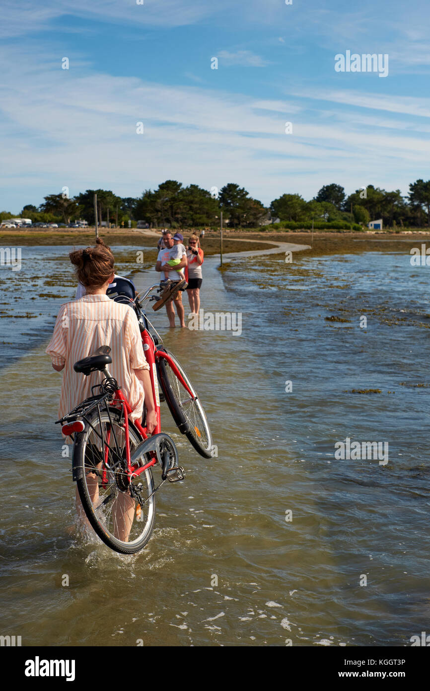 Ile Tascon (Tascon Island) a tidal island in the Golfe du Morbihan near Vannes Brittany France. Stock Photo