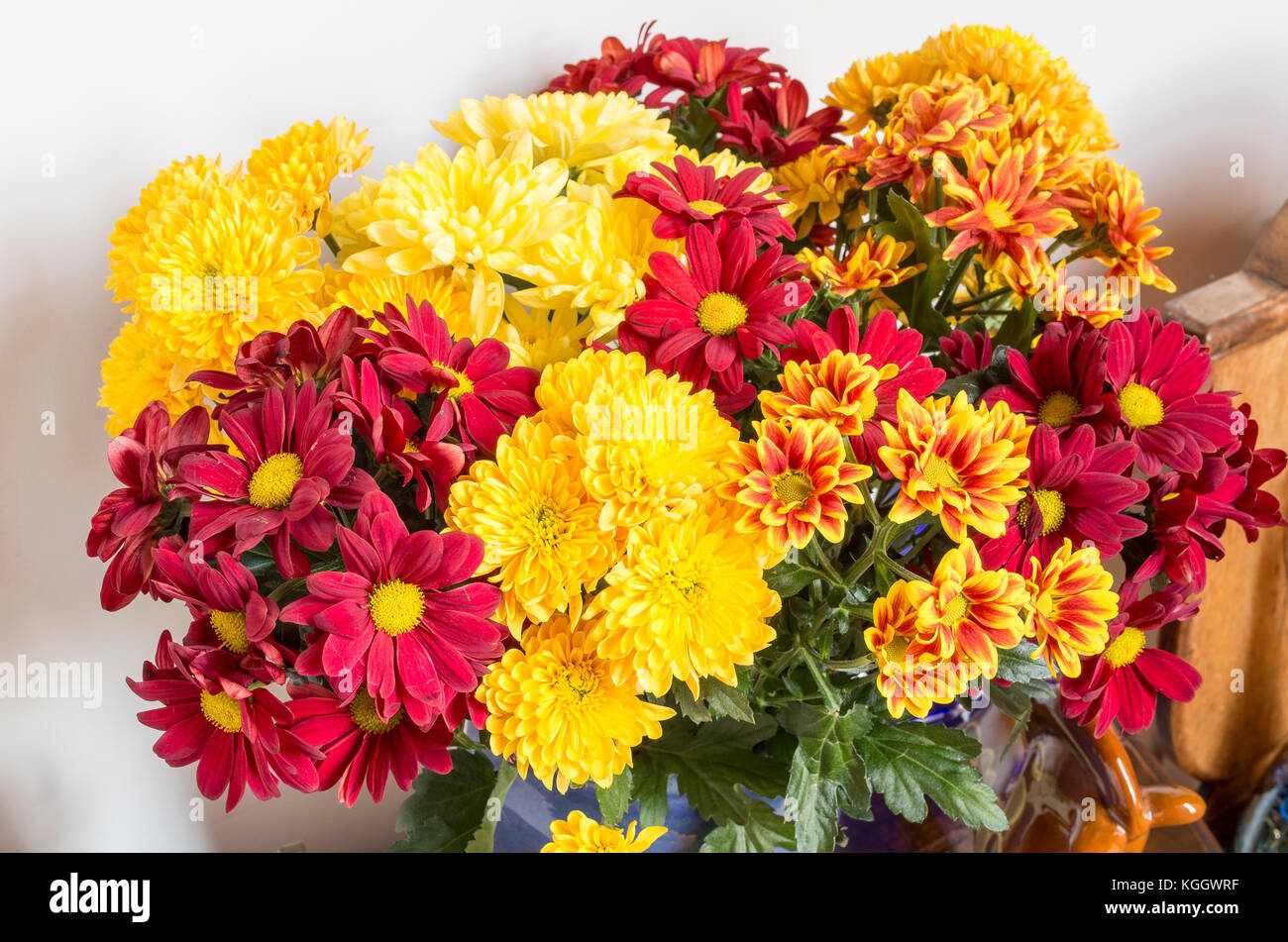 A colourful display of spray Chrysanthemum cut flowers indoors in the UK Stock Photo