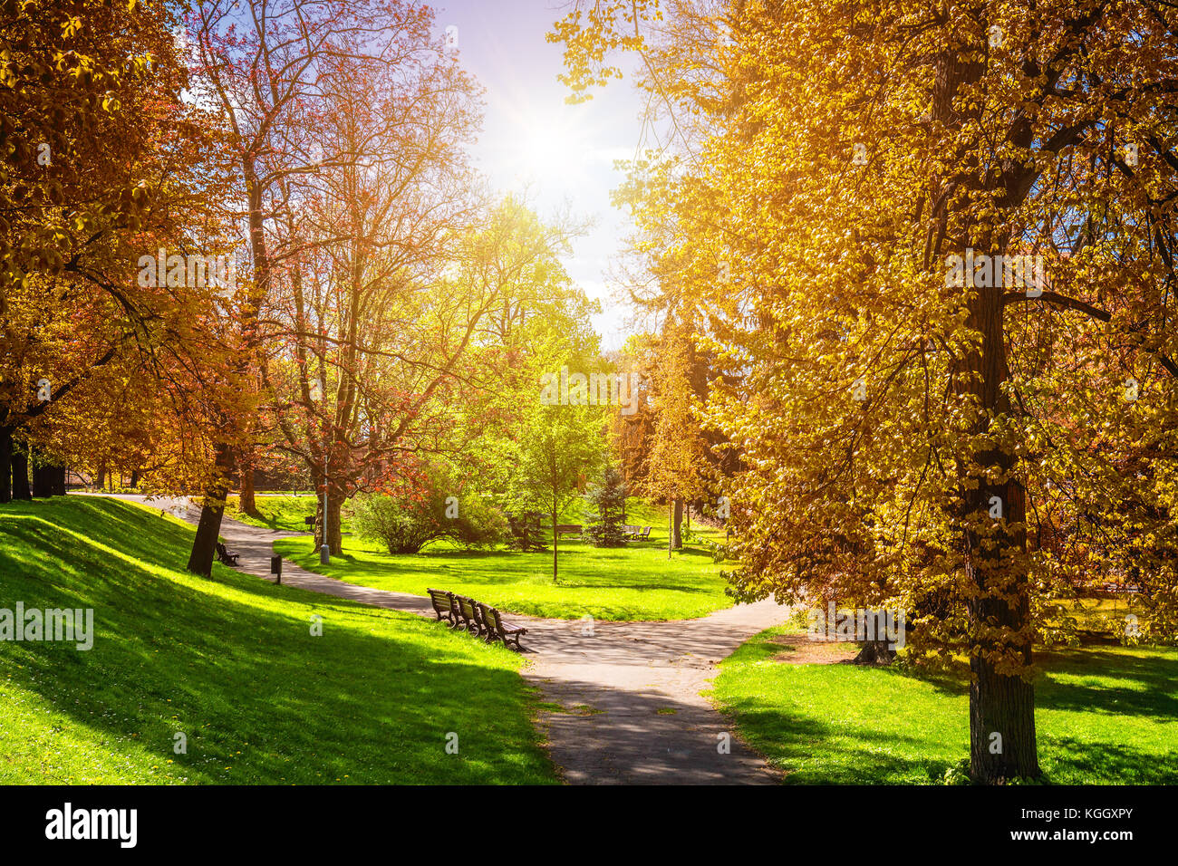 Magical autumn park with path and fantastic glow, fairytale landscape with red foliage Stock Photo