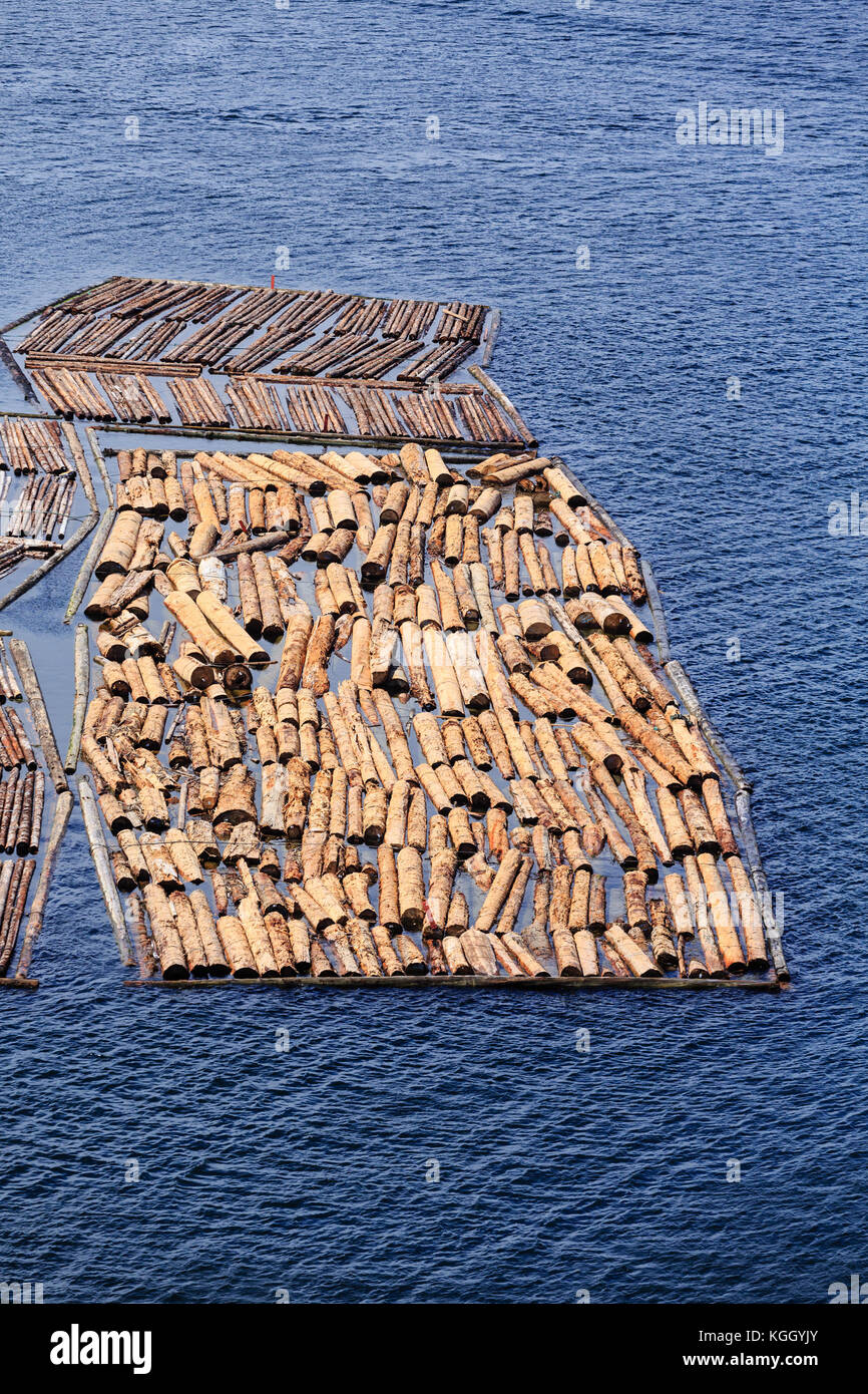 Floating logs down river hires stock photography and images Alamy